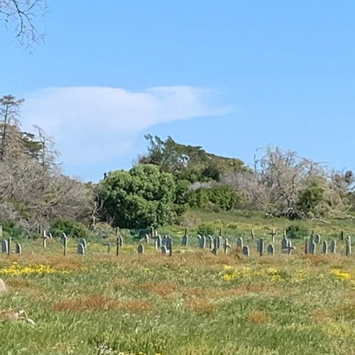 Robben Island and Table Mountain Full Day Tour — gallery 4