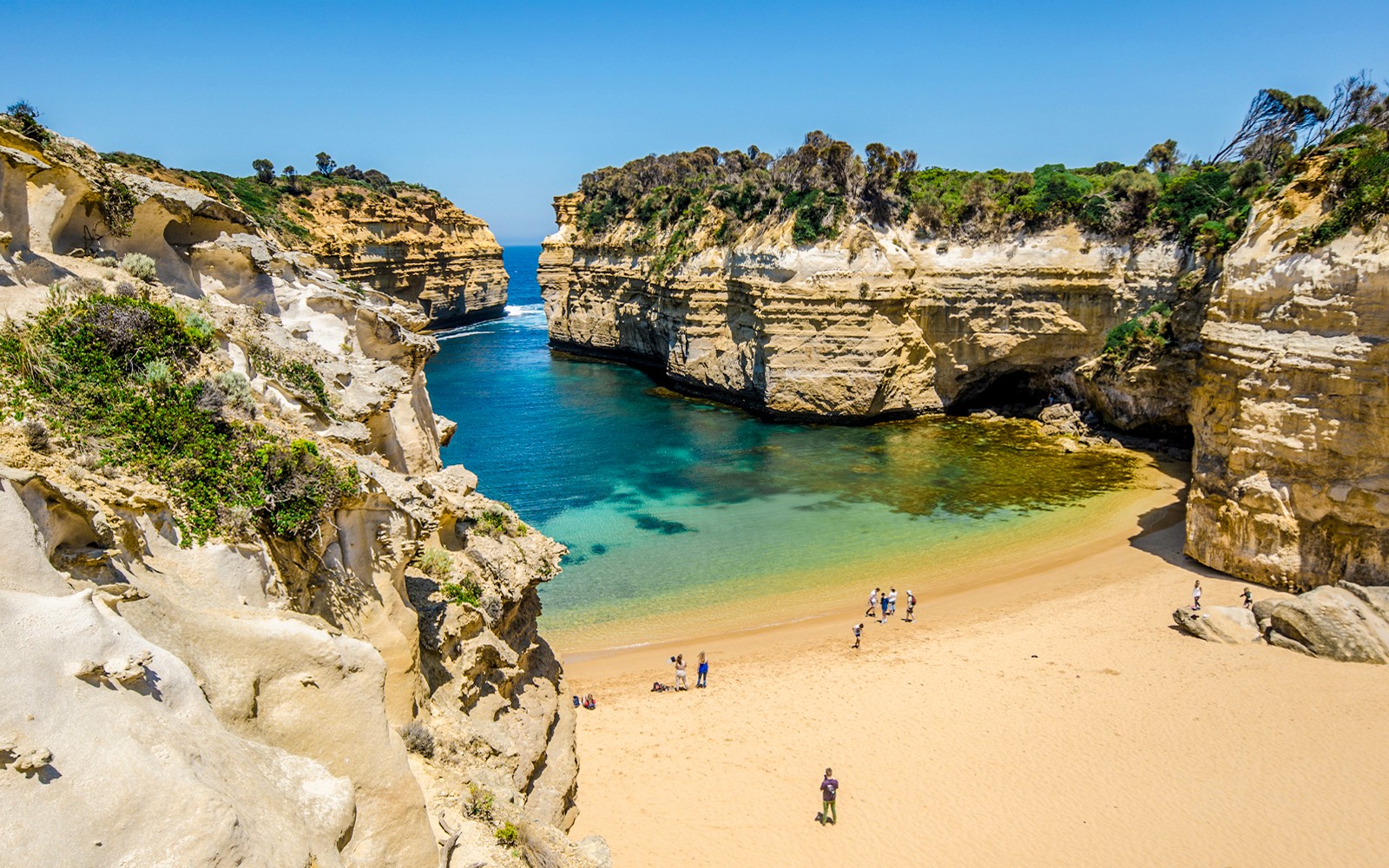 Great Ocean Road & 12 Apostles Classic Day Tour
