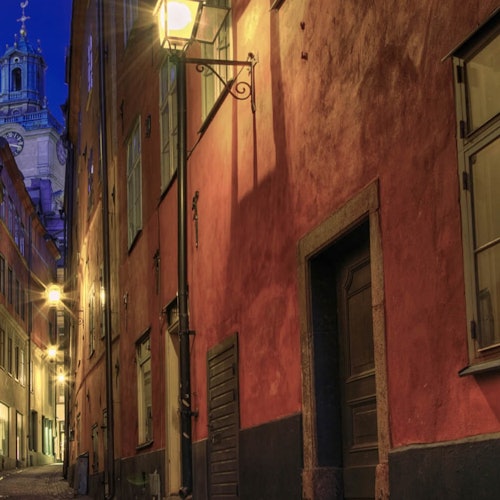 Stockholm: Christmas Spirit Tour