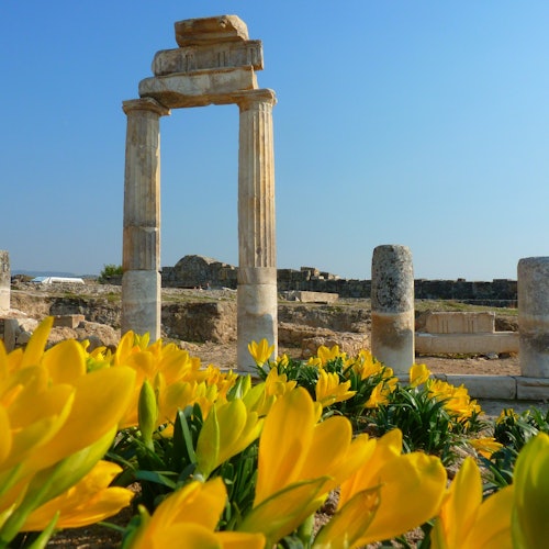 Pamukkale: Guided Tour — gallery 1