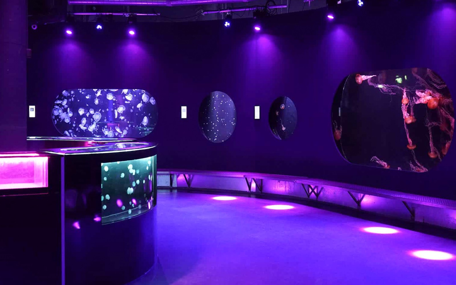 Aquarium de Paris Priority Access Tickets — gallery 4