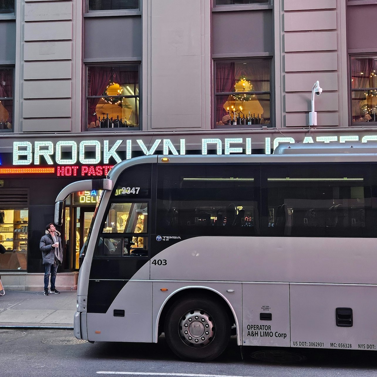 Dyker Heights Holiday Lights Tour with Hot Cocoa - venue or experience setting