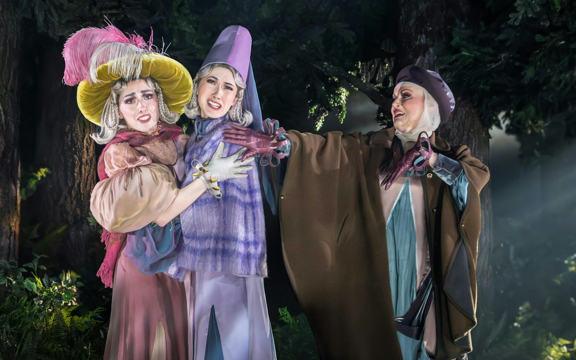 Into the Woods — photo 11