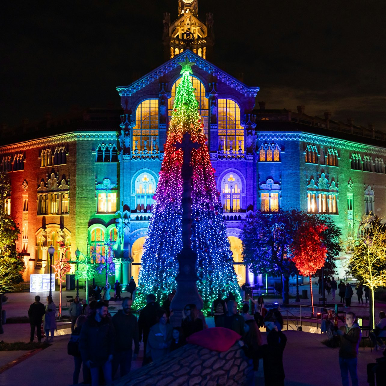 Els Llums de Sant Pau: Christmas Garden — gallery 1