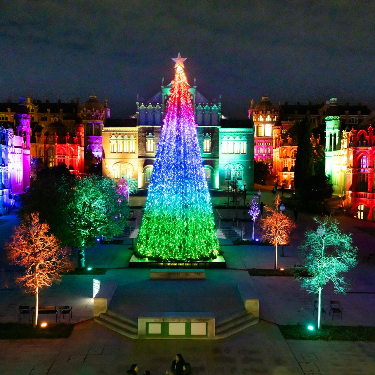Els Llums de Sant Pau: Christmas Garden — gallery 5