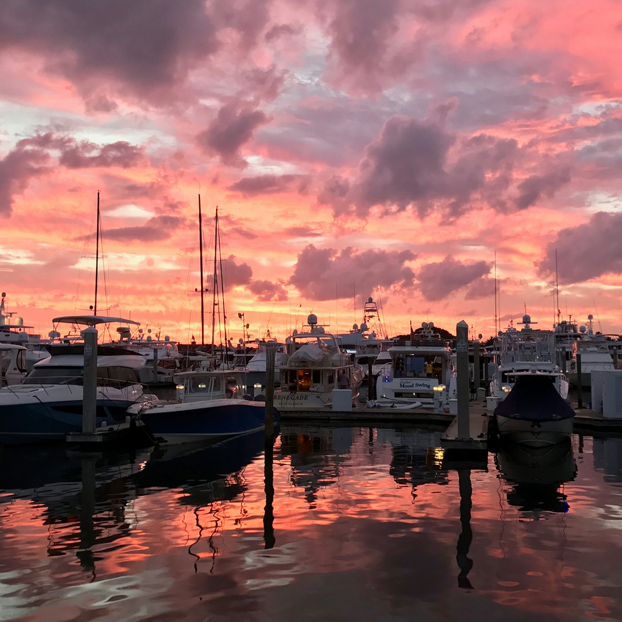 Fort Lauderdale: Jungle Queen Sightseeing Cruise