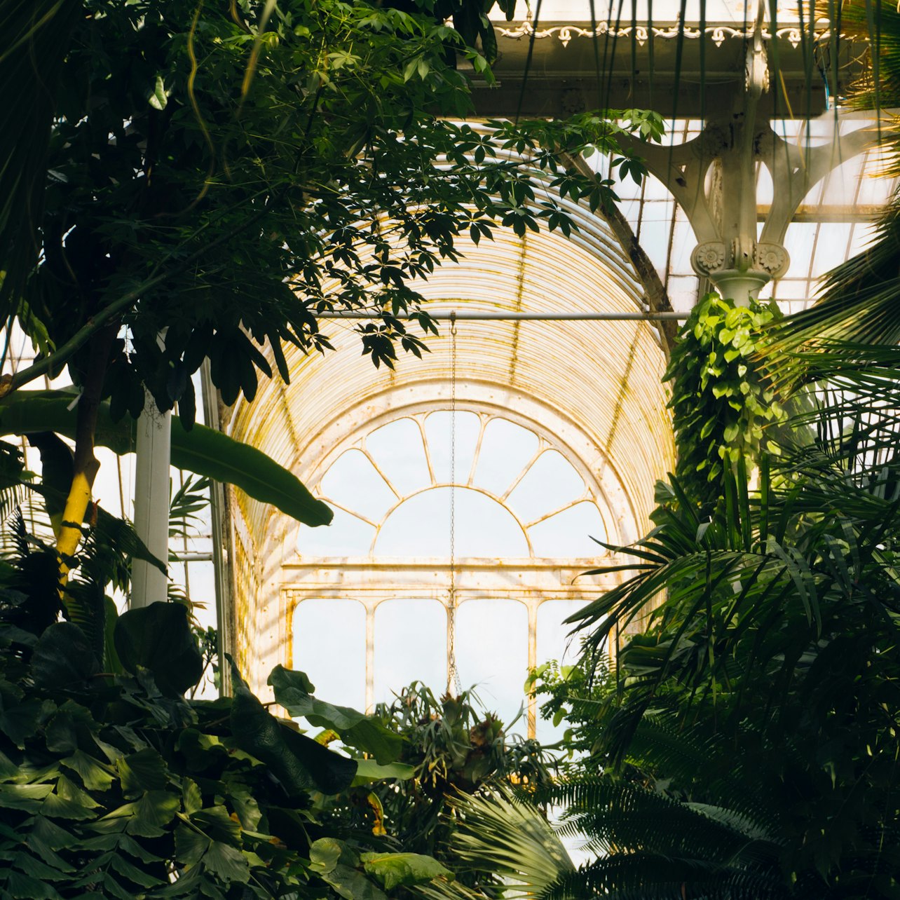Kew Gardens + Kensington Palace: Entry Ticket