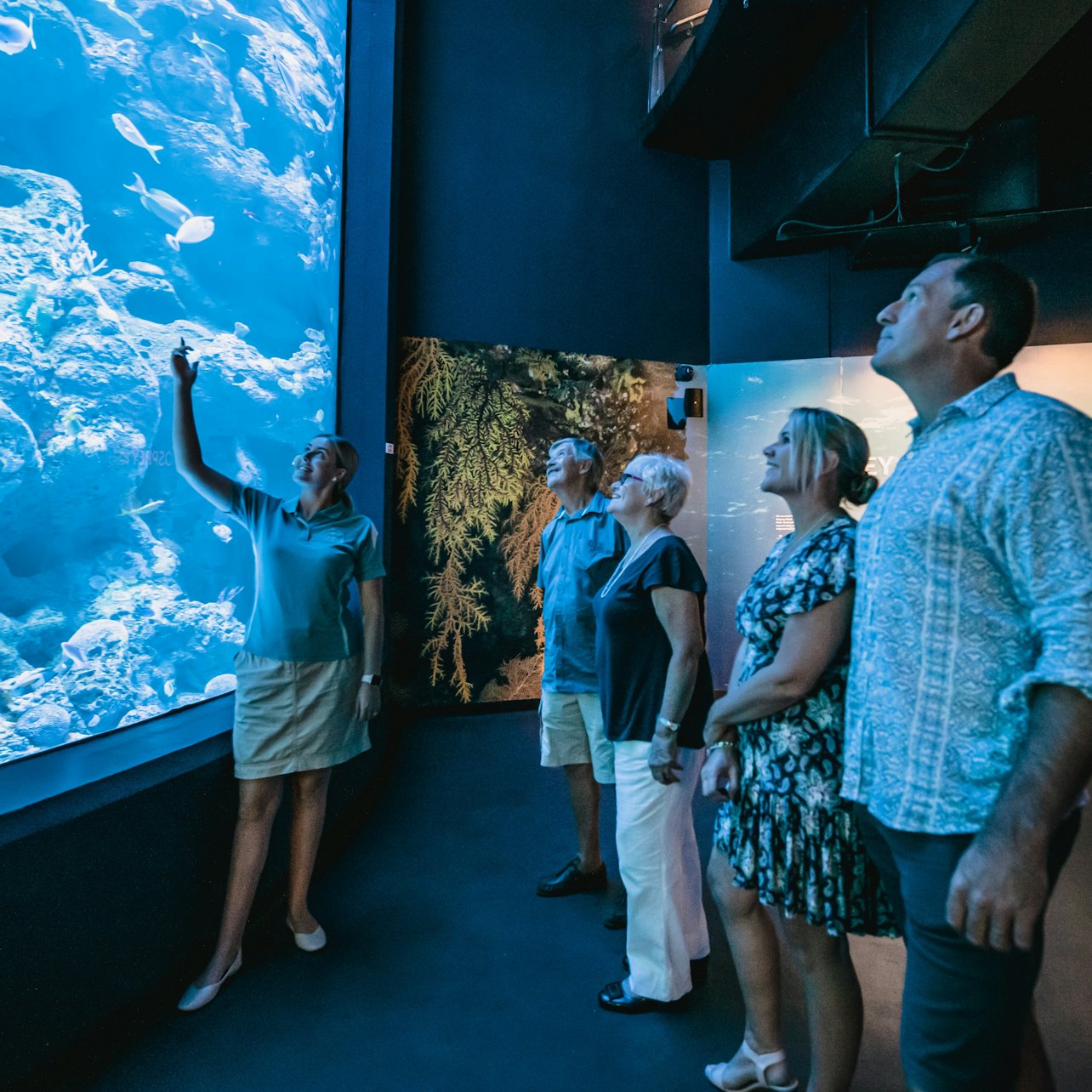 Cairns Aquarium: Night Entry + 2-Course Dinner — gallery 3