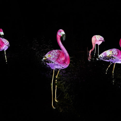 Faunia Nature Park: Brilla Faunia — gallery 4