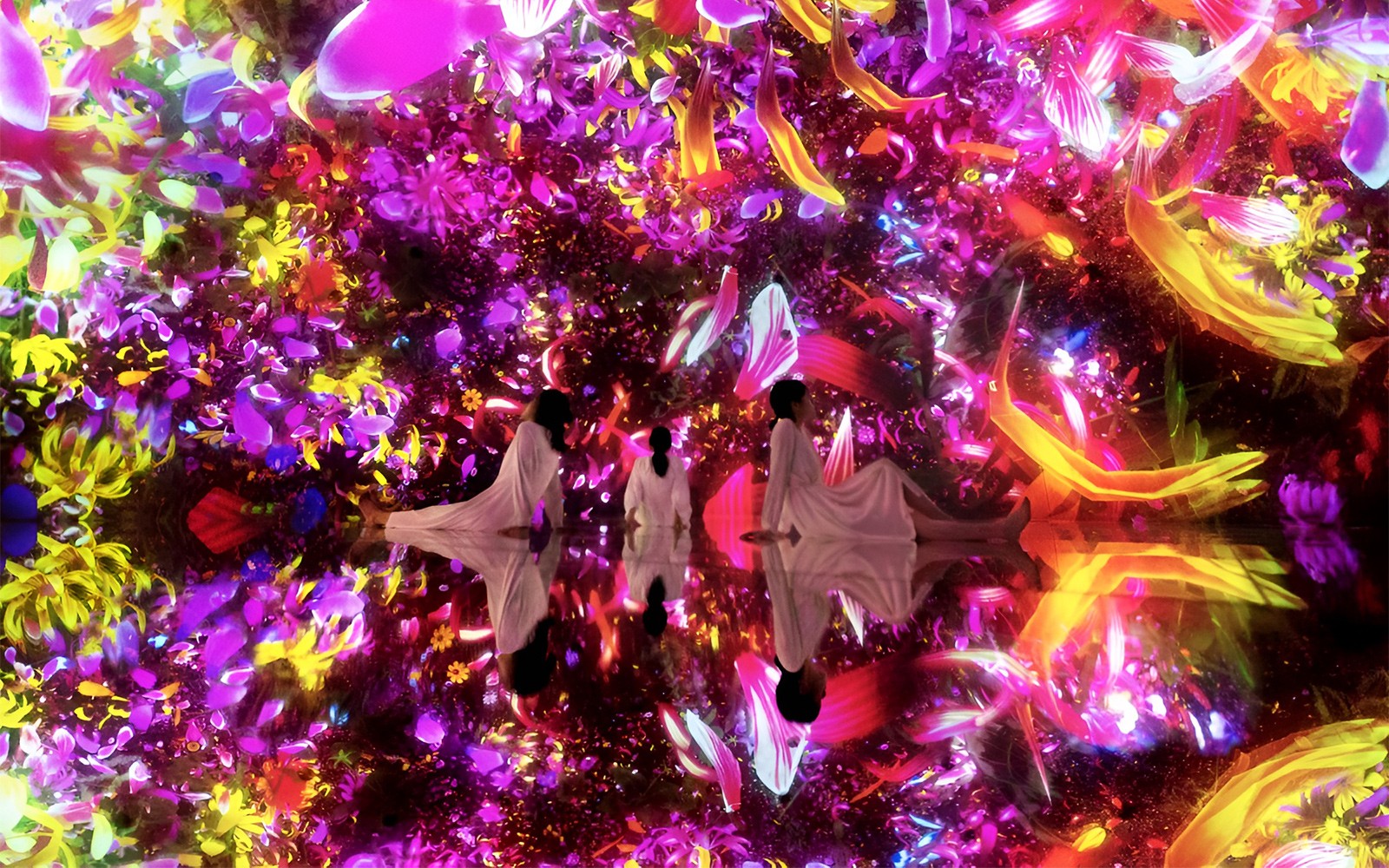 teamLab Planets Skip-the-Line Tickets [Premium Pass] — gallery 1