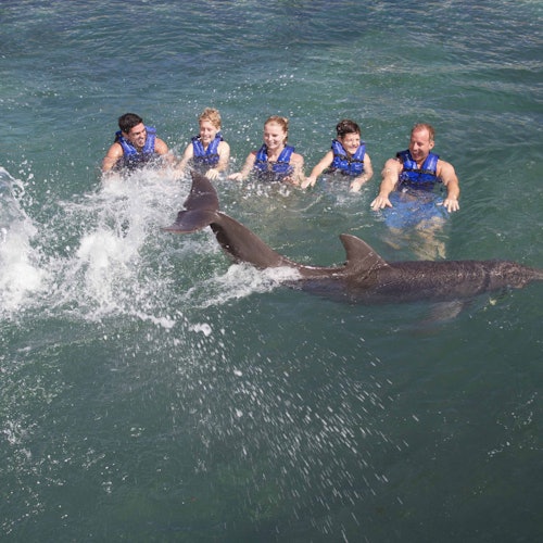Delphinus Xcaret: Swim with Dolphins