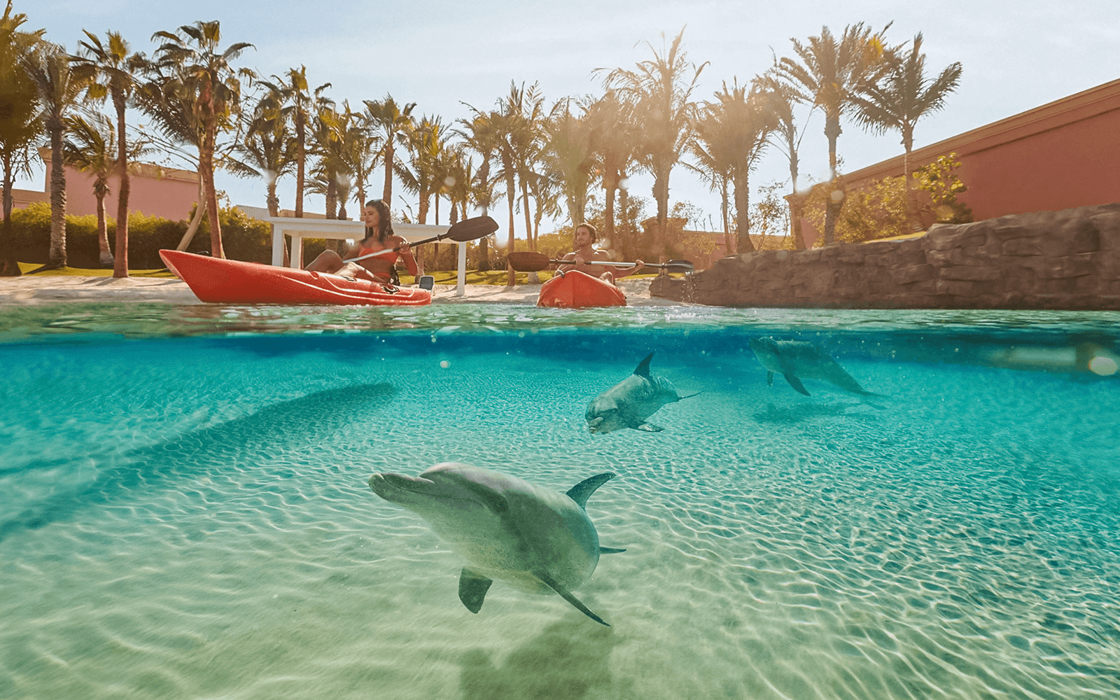 Aquaventure Waterpark Tickets with Dolphin Encounter — gallery 3