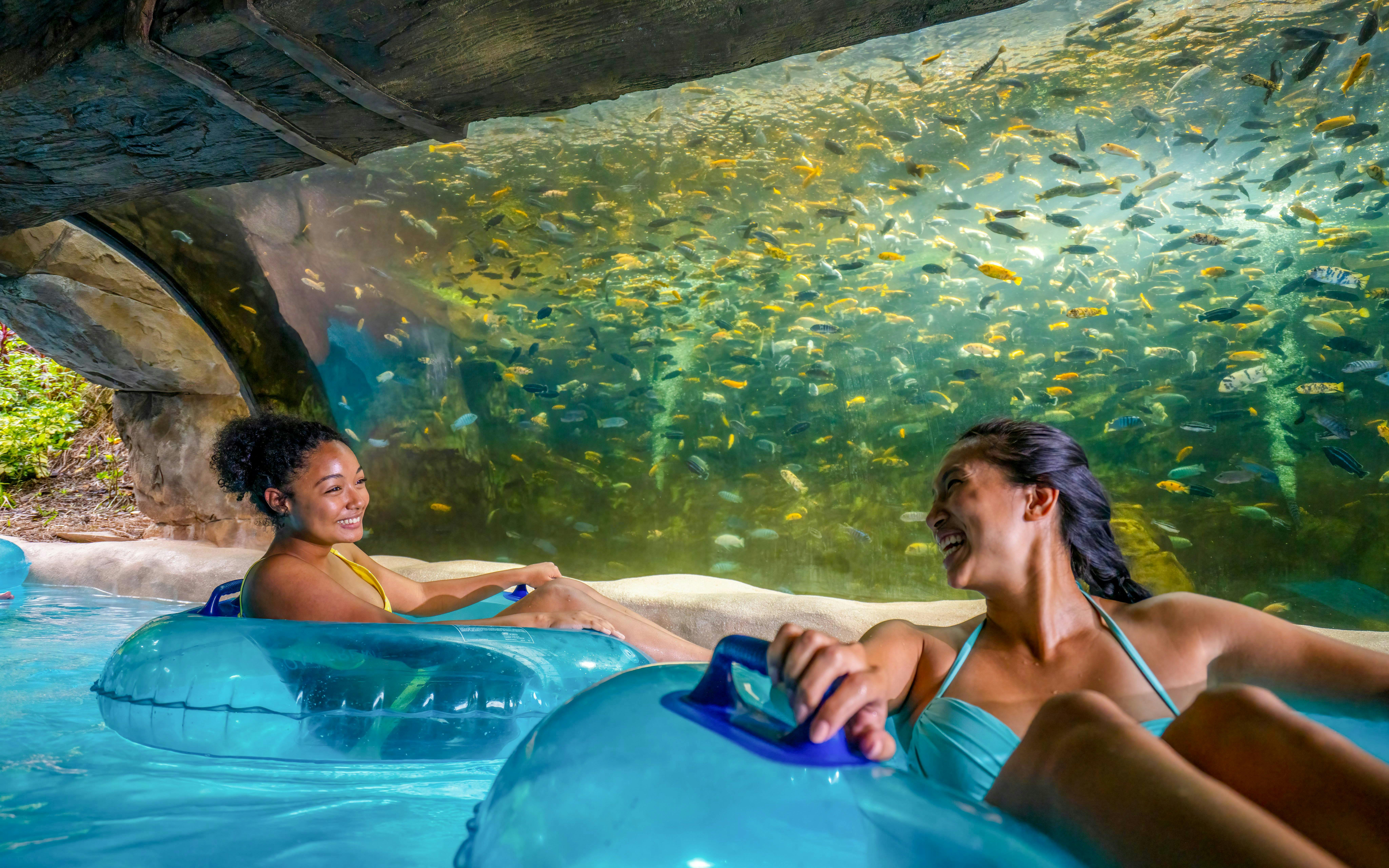 Aquatica Orlando Annual Pass