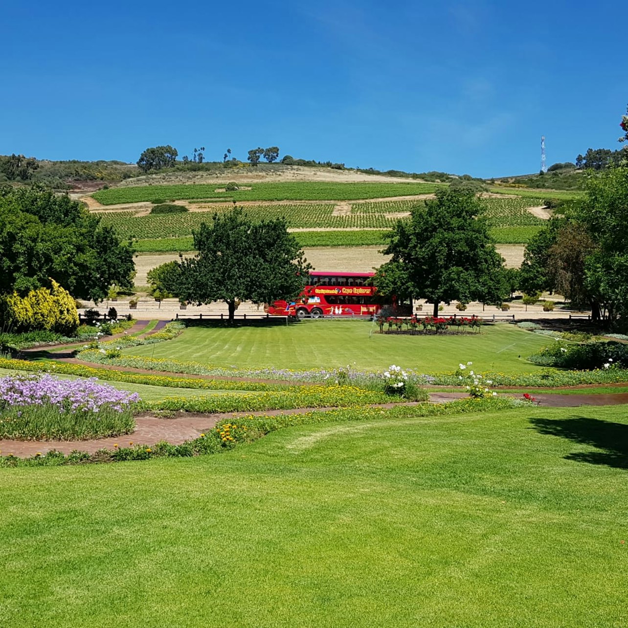 Paarl, Franschhoek, Stellenbosch Region Explorer Wine Tour — gallery 2