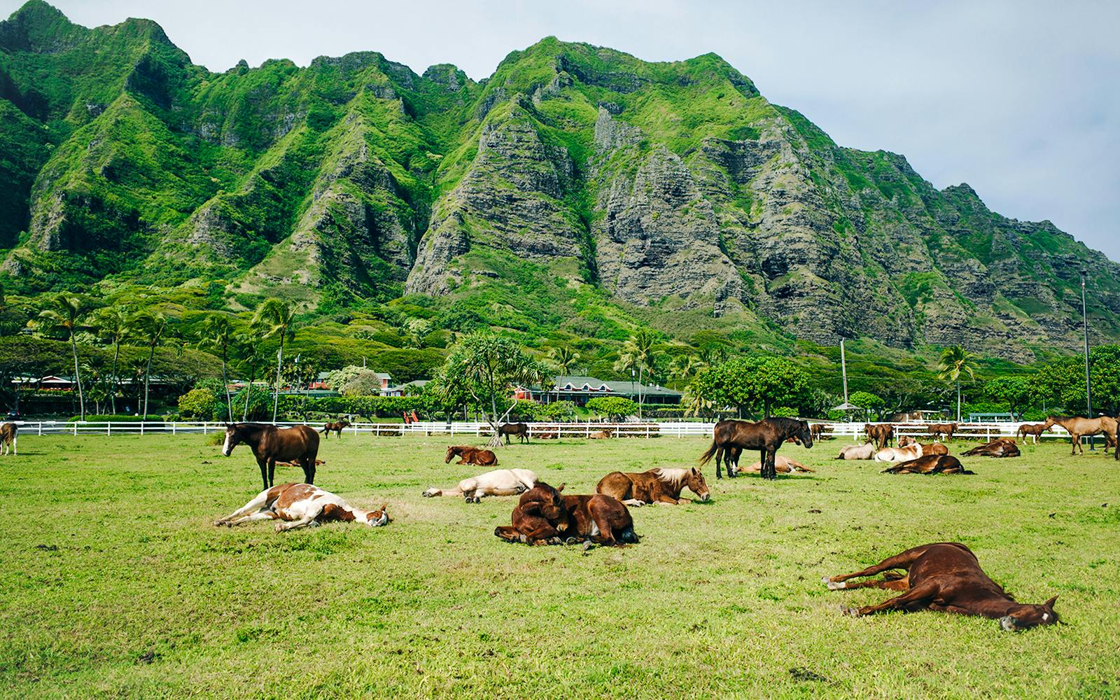 Kualoa Ranch: All-Inclusive Package