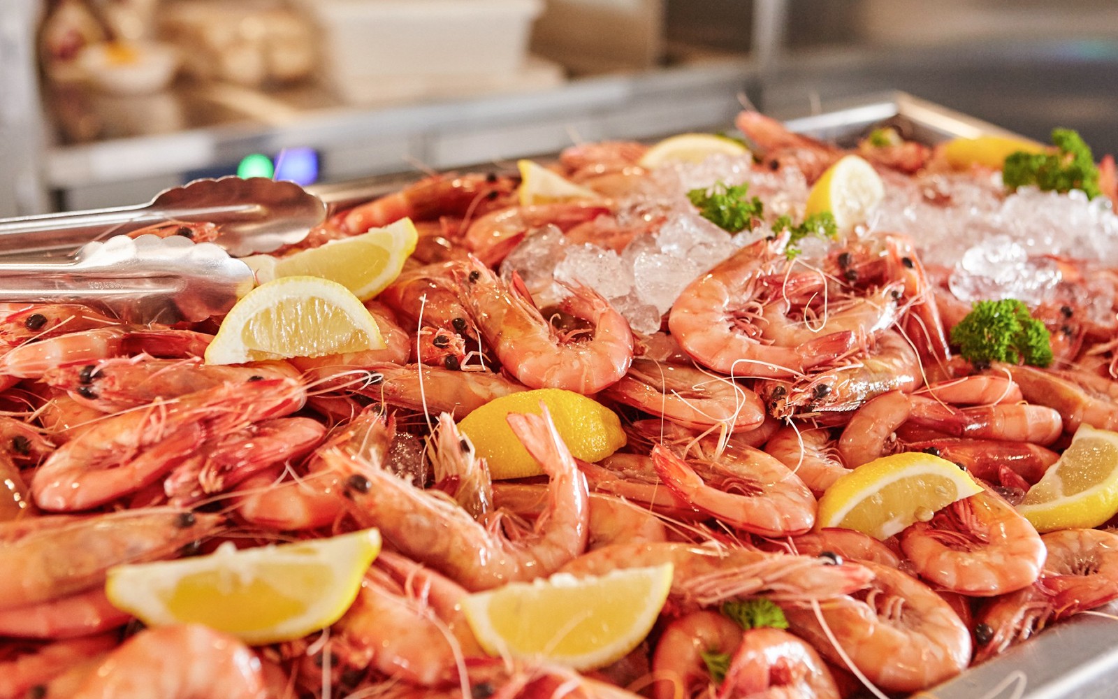 Gold Coast Sightseeing Cruise with Buffet Lunch — gallery 2
