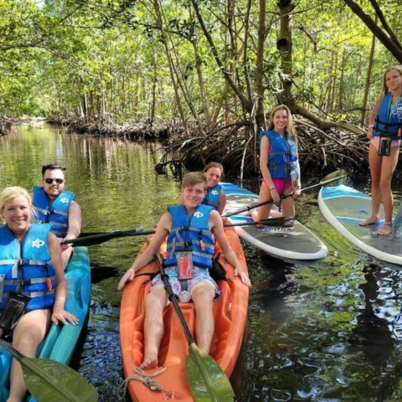 Mangrove Jungle: SUP/Kayak Adventure + Drinks