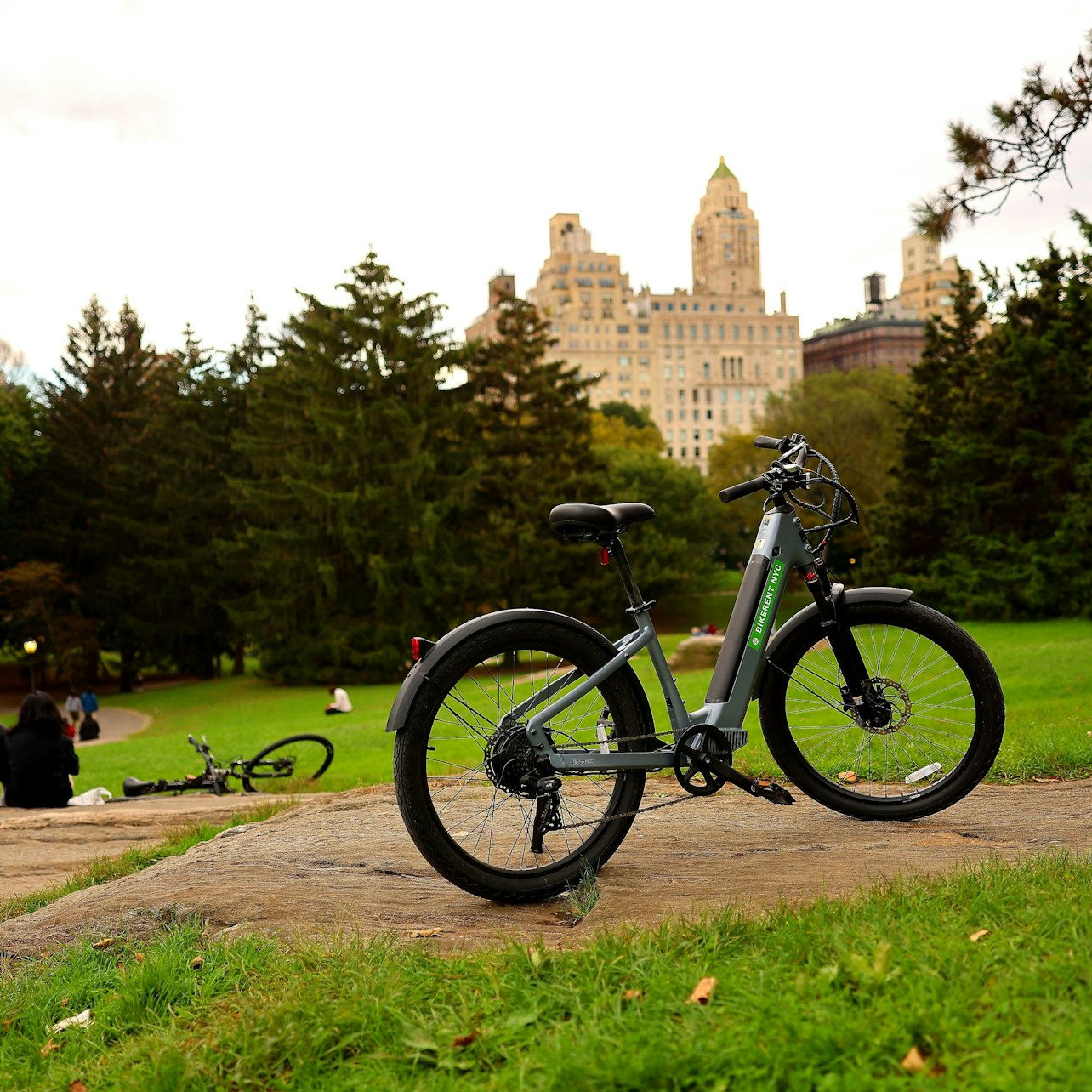 Electric Bike Tour of Central Park visitor view at New York Bike Tours