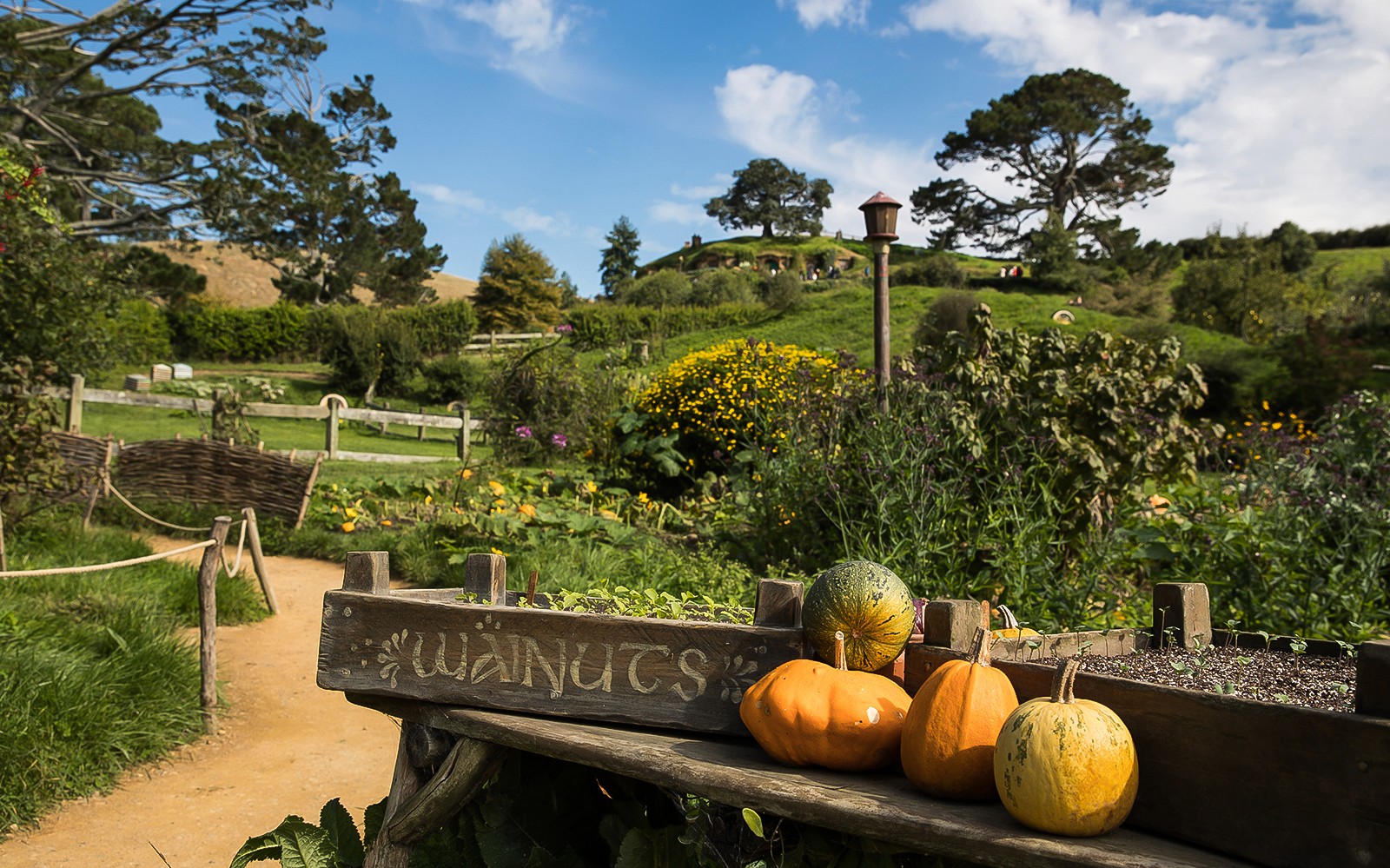 Tour of Hobbiton Movie Set from Rotorua