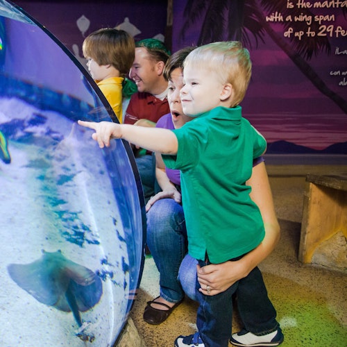 LEGOLAND® Discovery Center & SEA LIFE San Antonio Combo Ticket