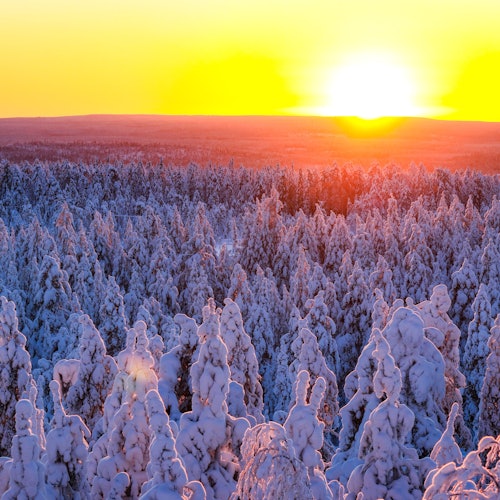 Lapland: Snowmobile Adventure with Transfer — gallery 2