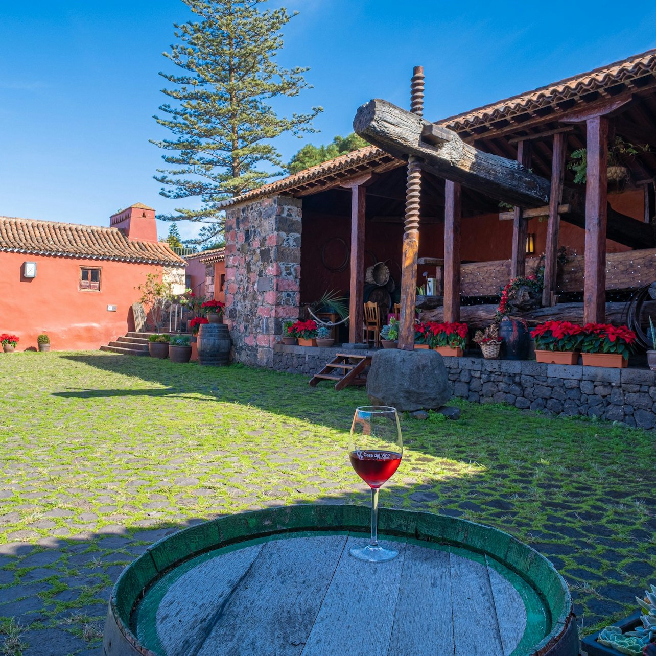 Museo del Vino de Tenerife: Visit and Tasting