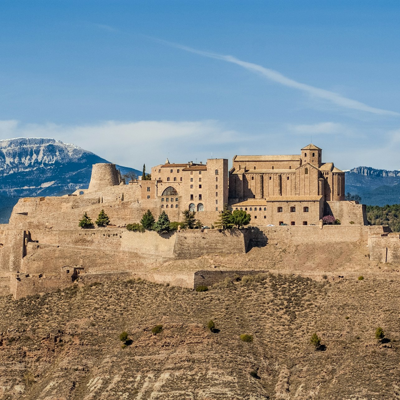 Castle of Cardona: Guided Visit