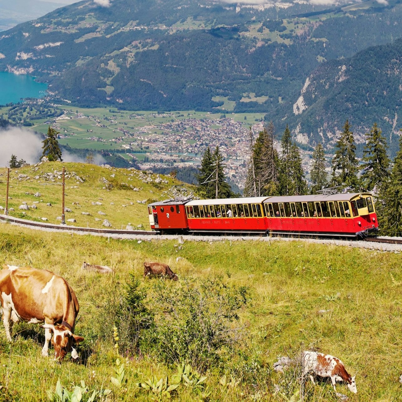 Schynige Platte: Roundtrip Rack Railroad From Wilderswil