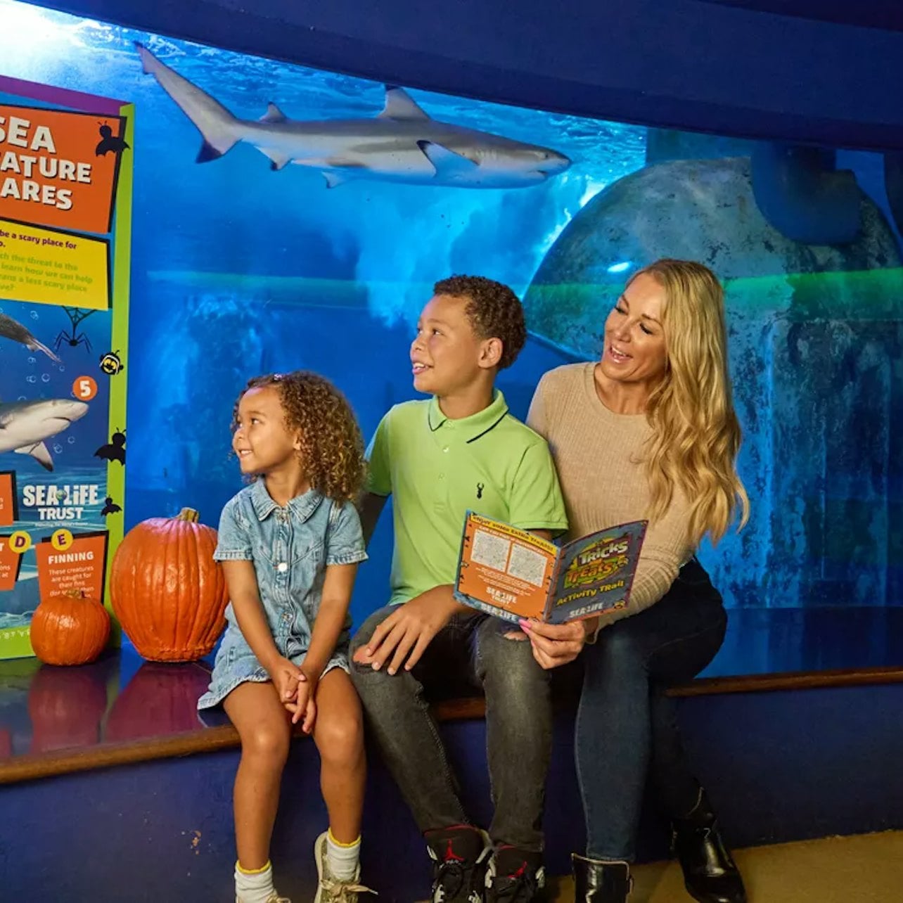 SEA LIFE Aquarium at American Dream: General Admission tickets at Sea Life Aquarium - New Jersey