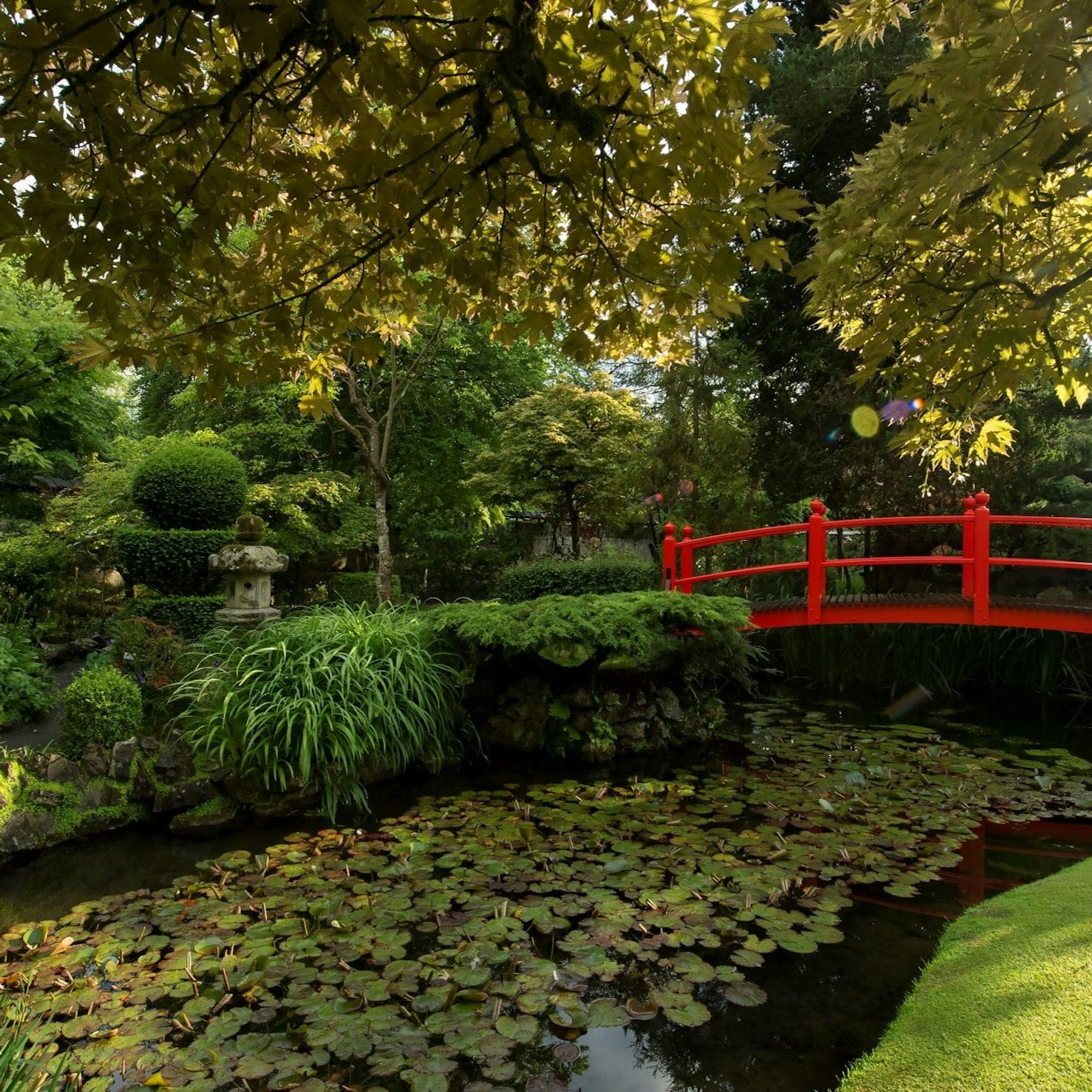 Irish National Stud & Gardens: Entry Ticket — gallery 2