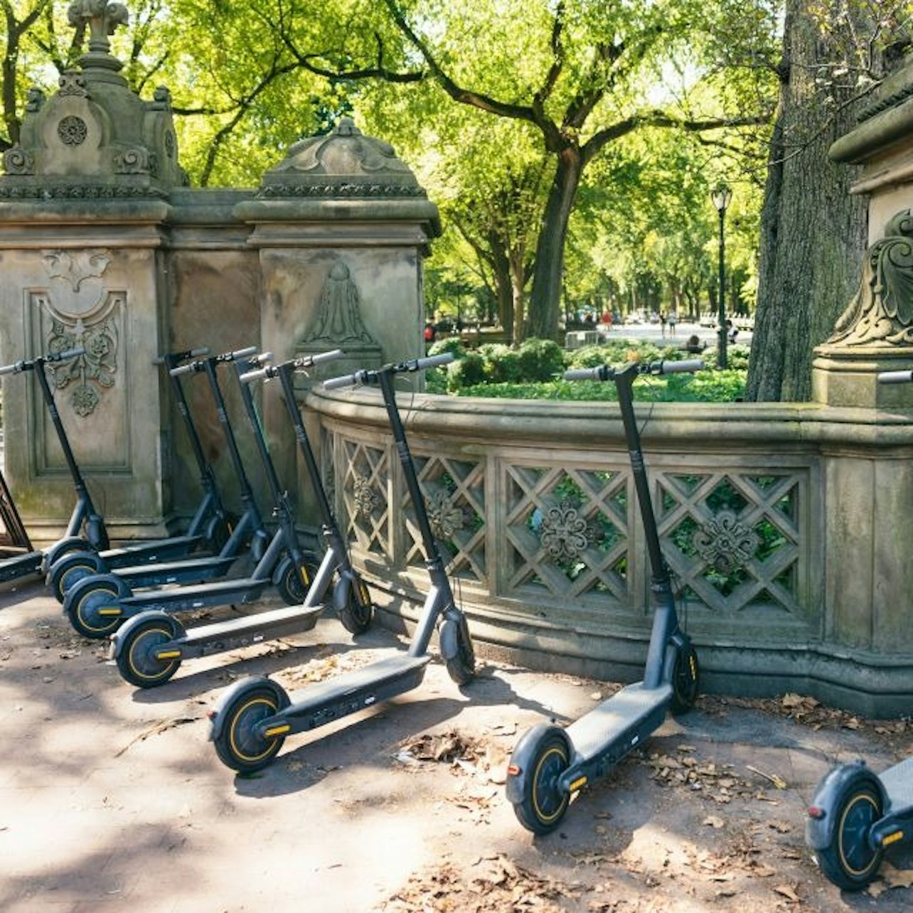 Central Park Scooter Tour