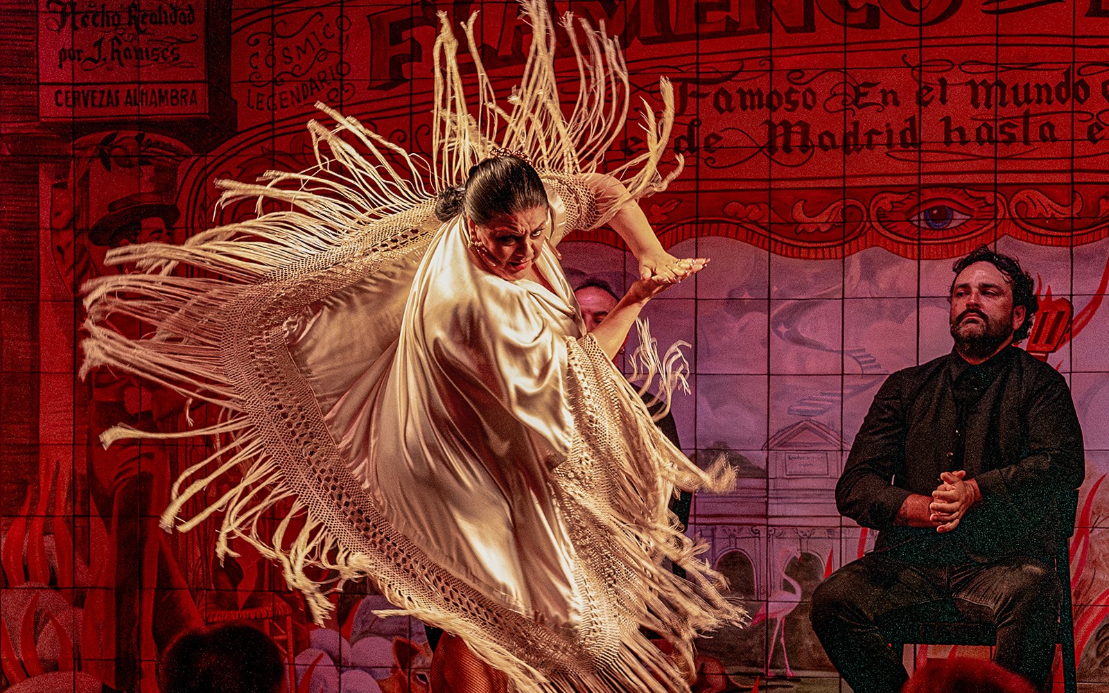 Flamenco De Leones - Flamenco Show