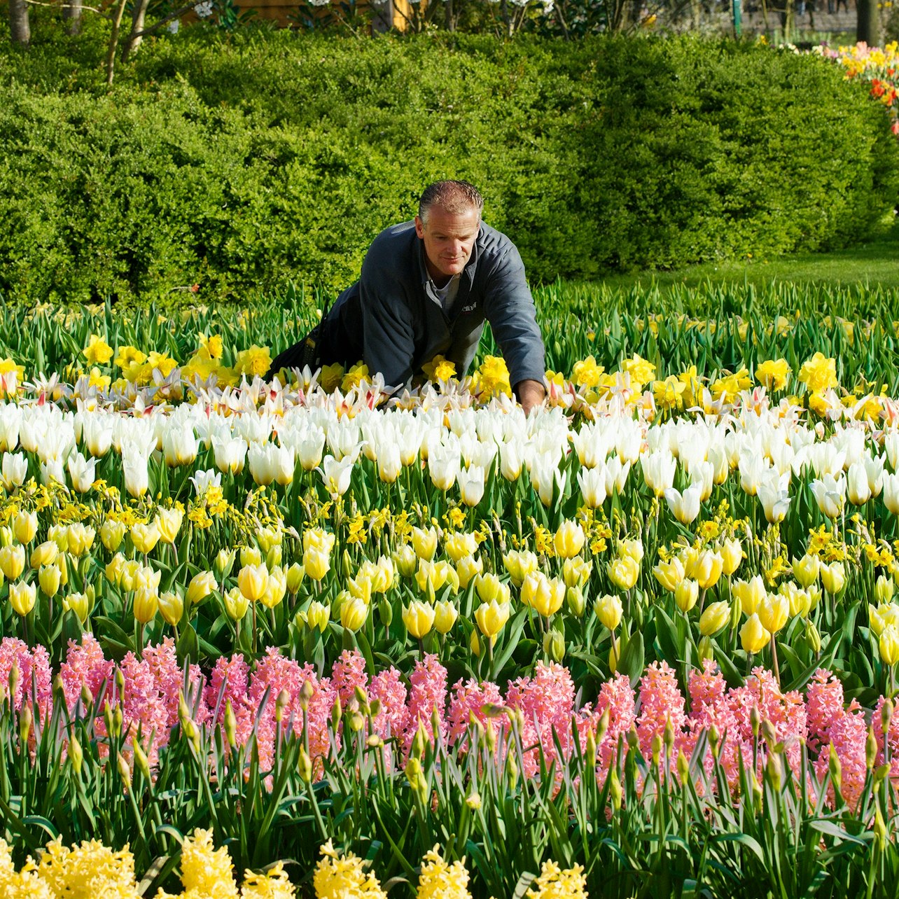 Keukenhof: Entry + Roundtrip Bus Transfer from A’dam Tower