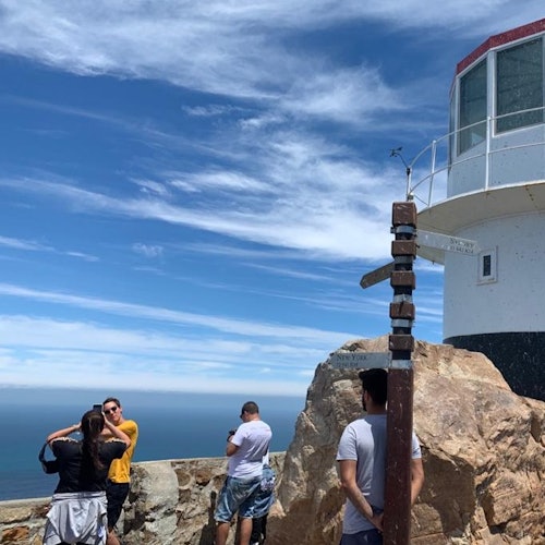 Cape Point & Boulders Beach Private Tour with Penguin Encounter — gallery 4