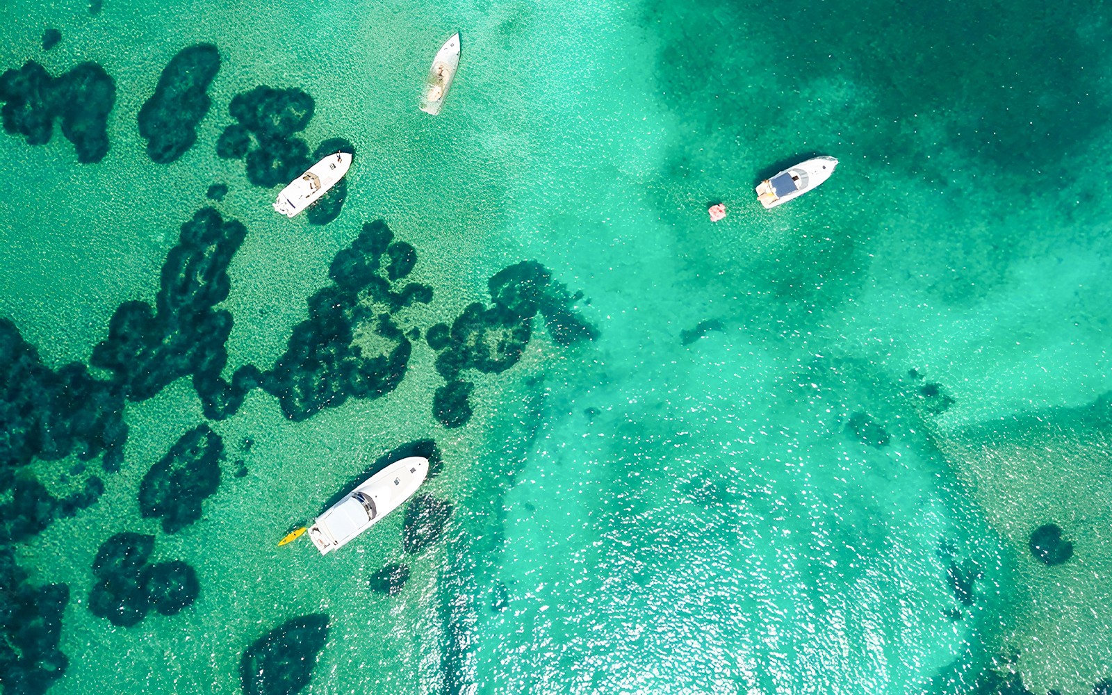Dubrovnik: Boat Tour to Blue Cave & Elaphiti Islands with Unlimited Drinks