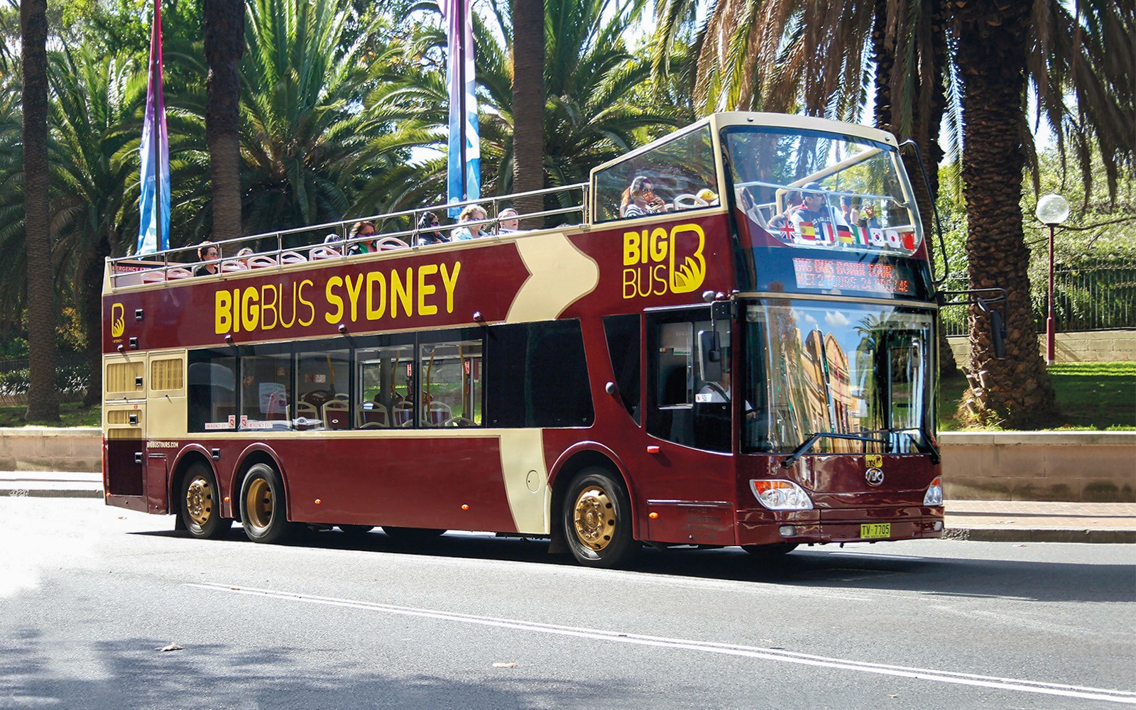 Big Bus: Sydney Hop-on Hop-off Bus Tour with Optional Hop-on Hop-off Harbour Cruise — gallery 4