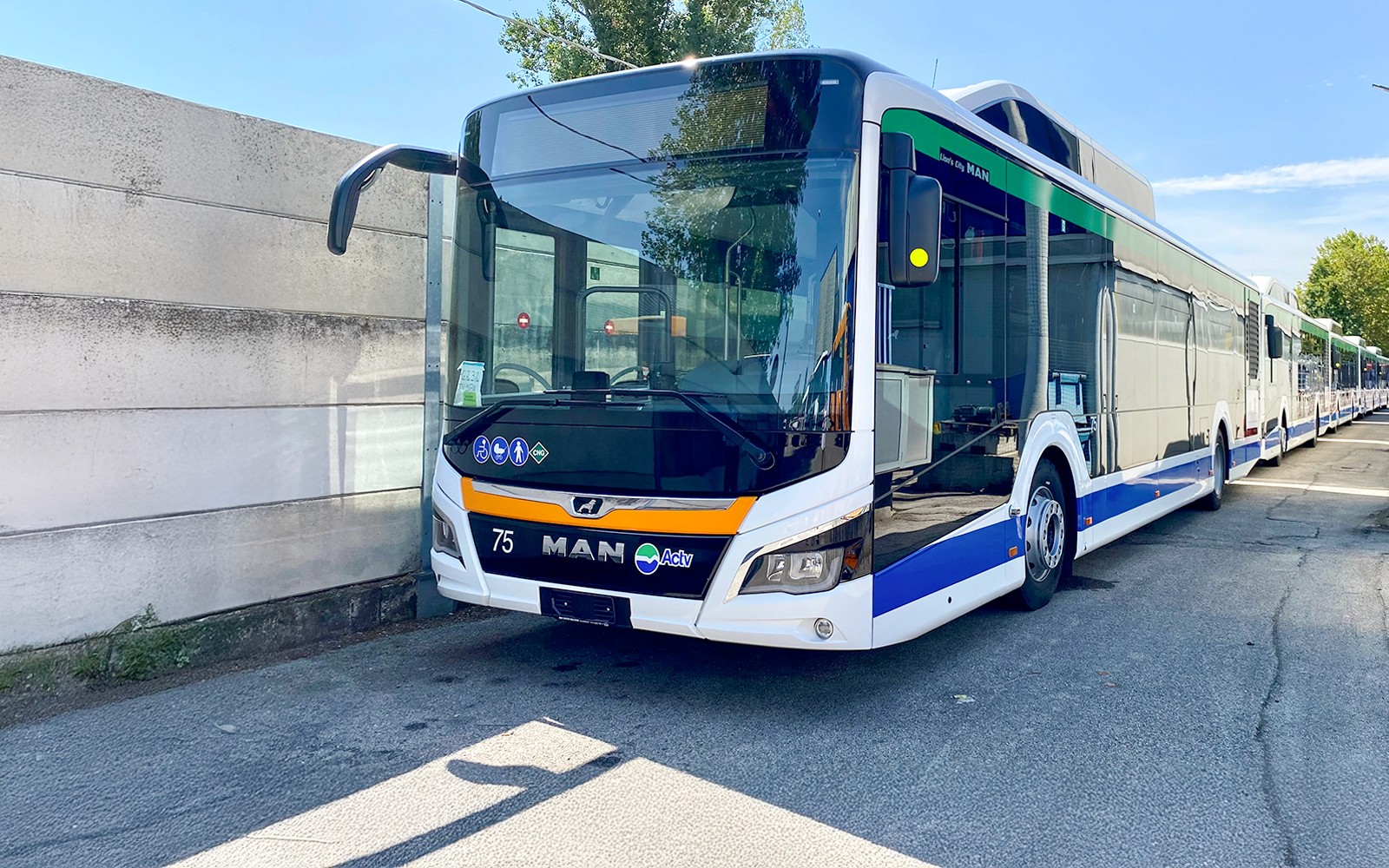 ACTV Aerobus Bus Transfer: Venice Marco Polo Airport to/from Venice Piazzale Roma