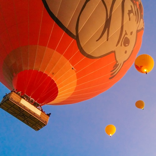 Cairns Hot Air Balloon Experience with Return Transfers