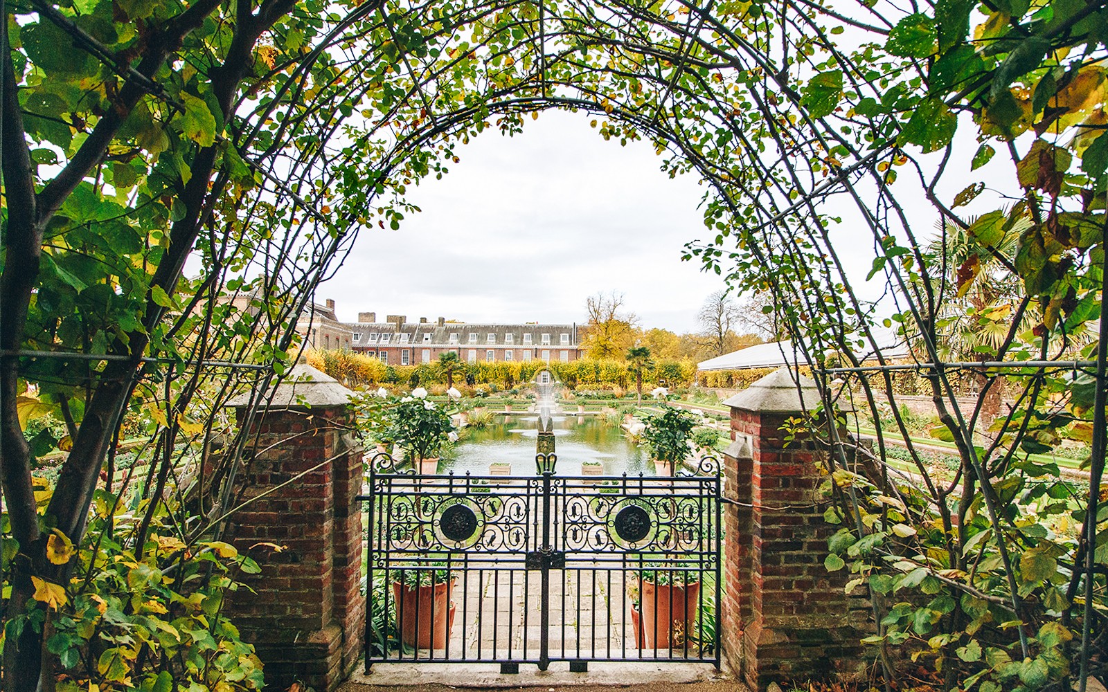 Royal Afternoon Tea at Kensington Palace with Walking Tour of the Gardens — gallery 4