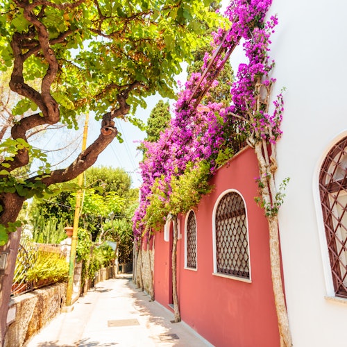 Capri Island Tour from Sorrento