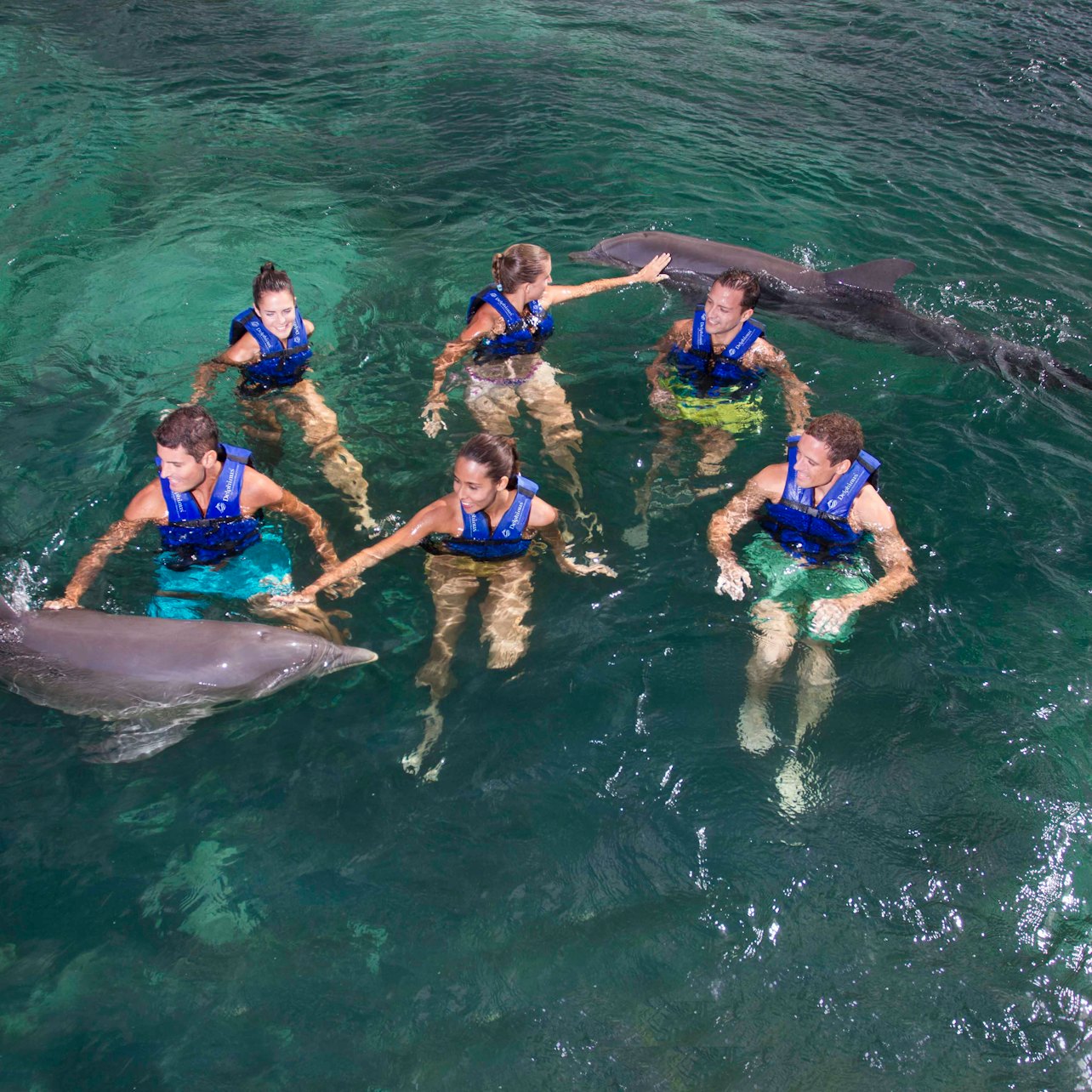 Delphinus Xcaret: Swim with Dolphins
