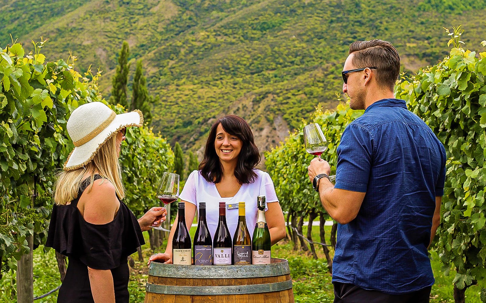 Classic Wine Tour from Queenstown