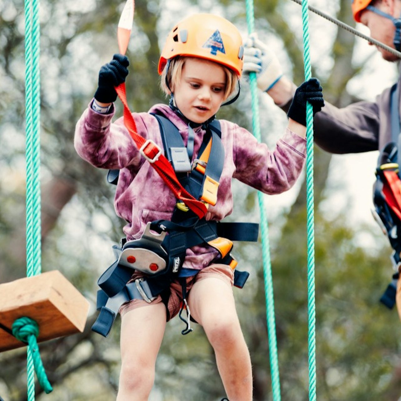 Treetops Adventure Central Coast: Junior Ropes Course