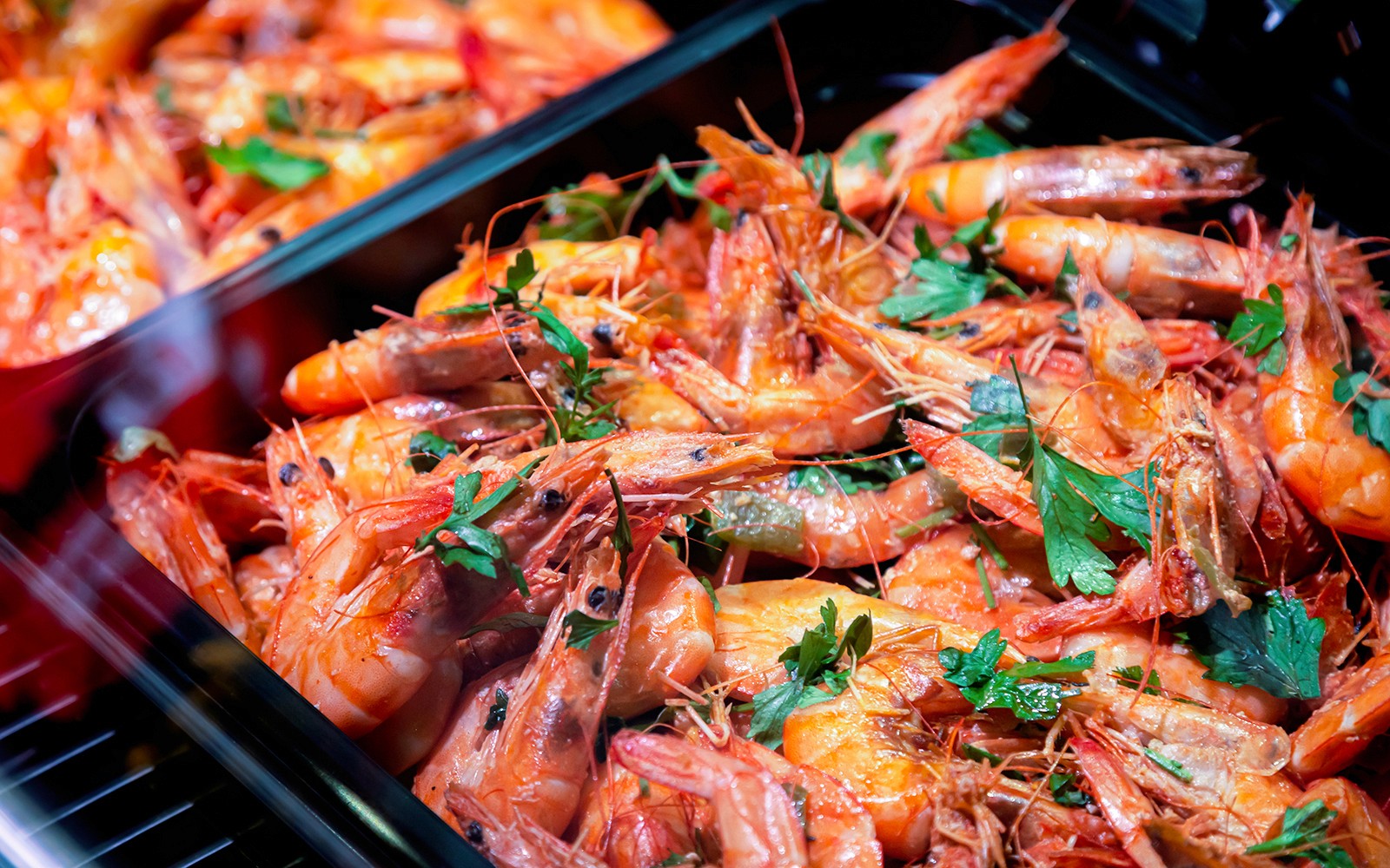 Gold Coast Sightseeing Cruise with Buffet Dinner — gallery 2