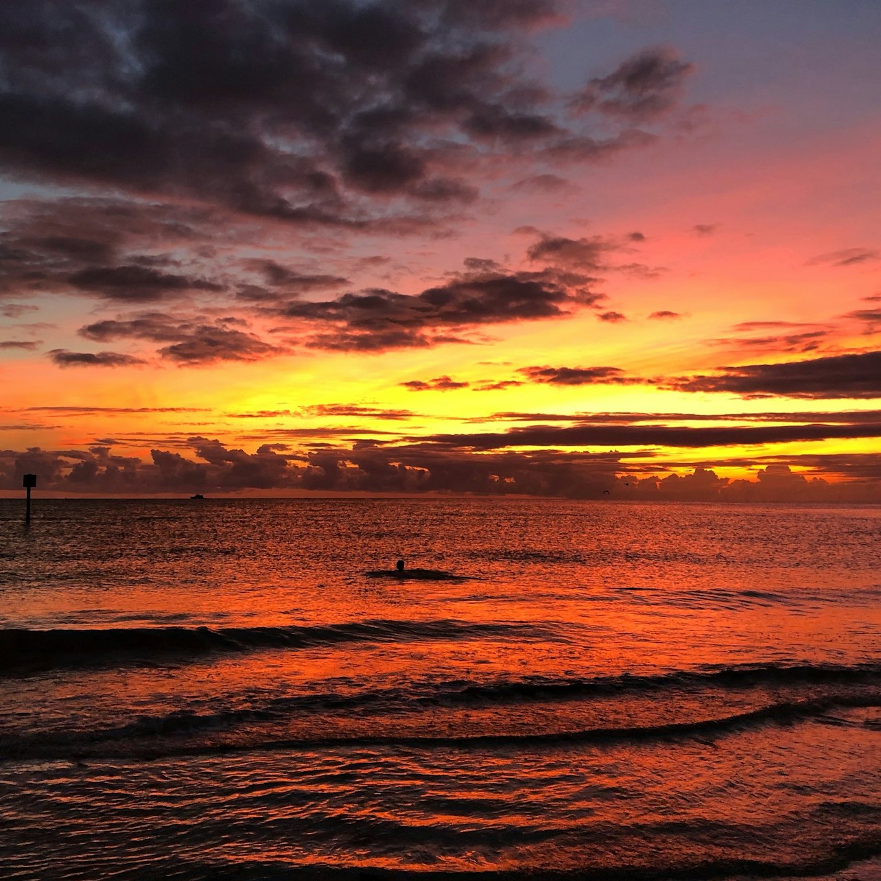Clearwater: Sunset Cruise with Champagne