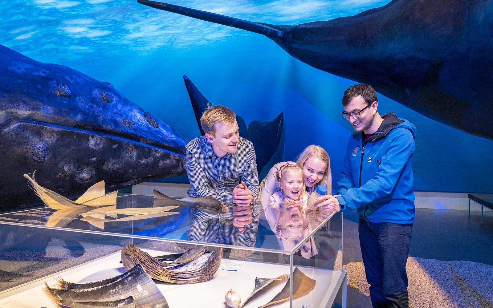 Tickets to Whales of Iceland Museum