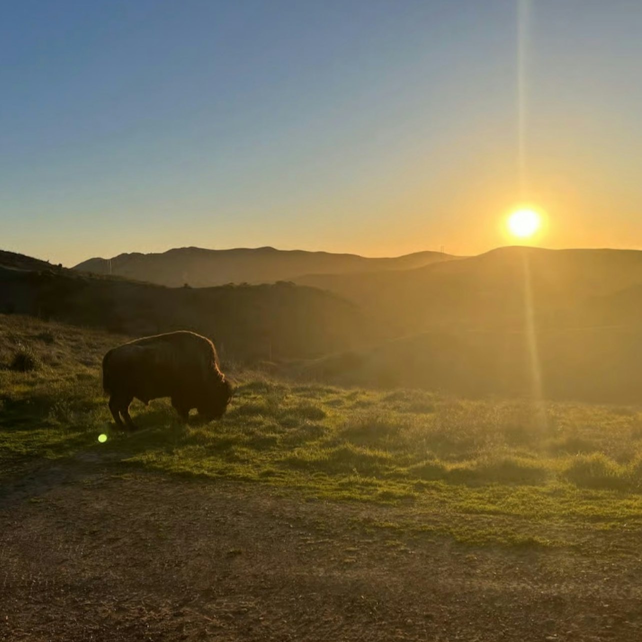 Santa Catalina Island: Guided Sunset Summit Tour — gallery 1