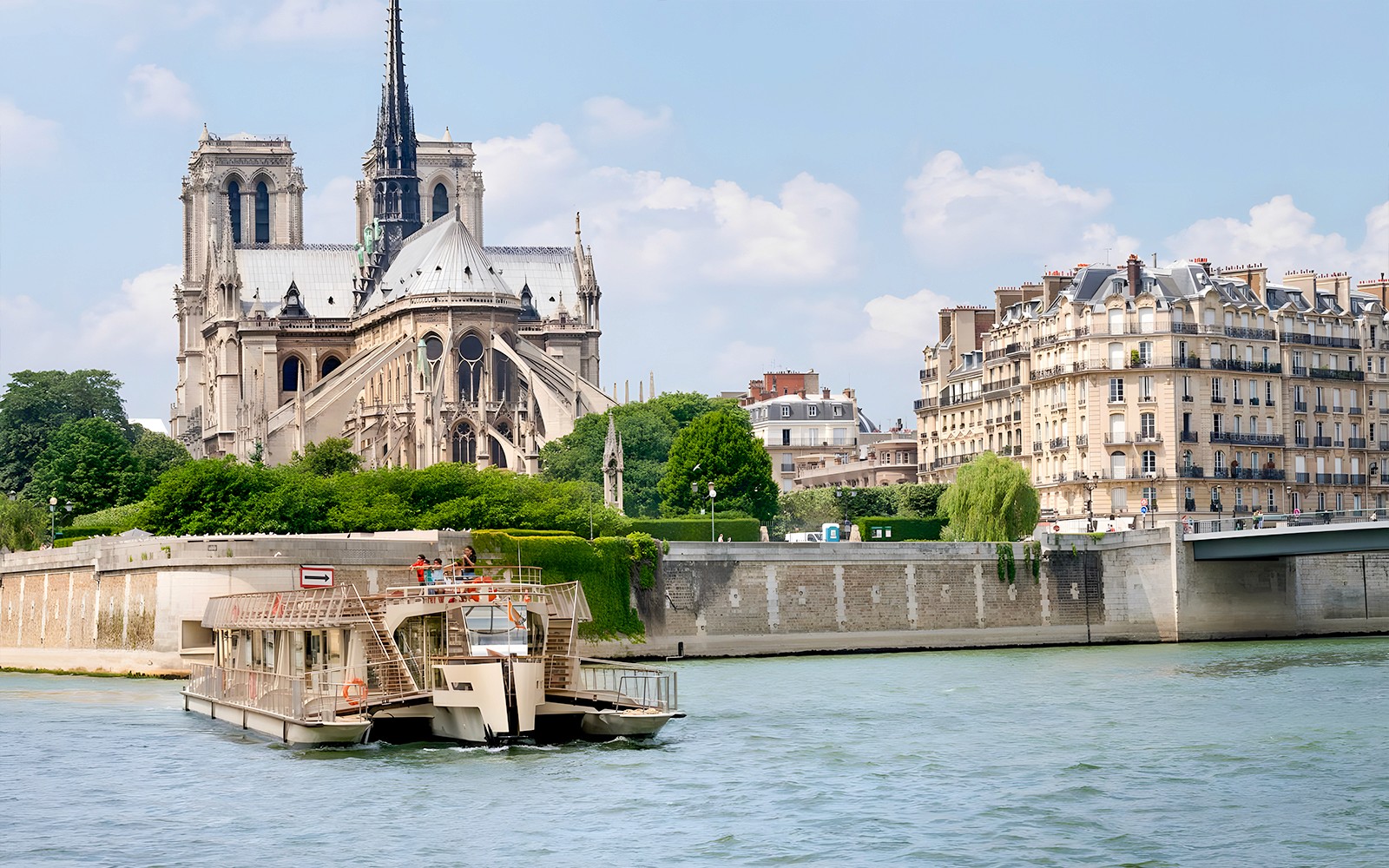 Seine River 1-Hour Sightseeing Cruise from the Eiffel Tower