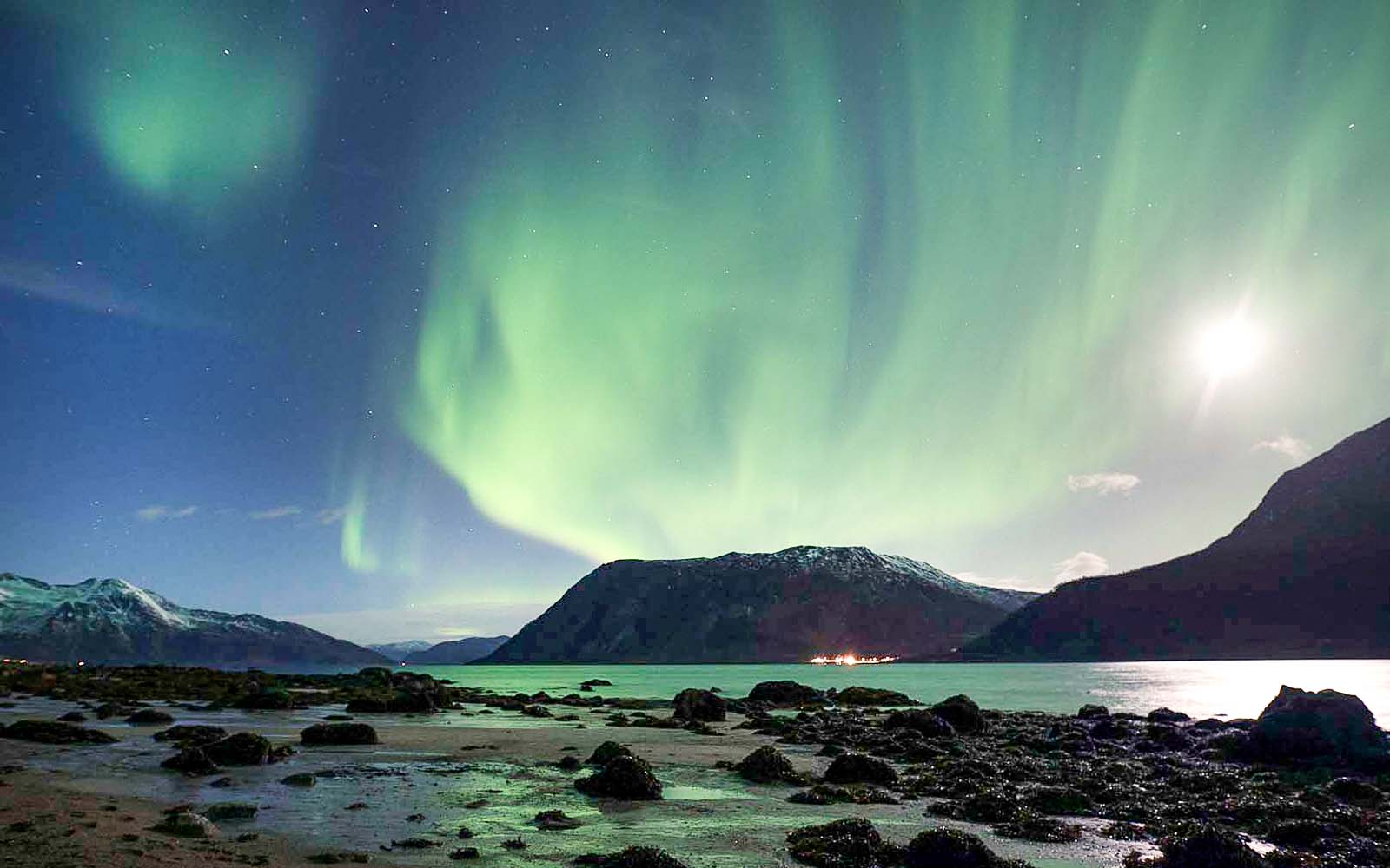 From Tromso: Reindeer Feeding Guided Tour with Chance of Northern Lights — gallery 2