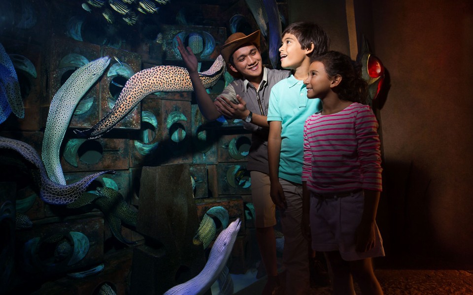The Lost World Aquarium Tickets (Formerly The Lost Chambers) — gallery 2